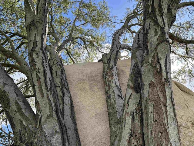 Detail Gallery Image 38 of 63 For 2494 Donnil Lane, Fallbrook,  CA 92028 - 3 Beds | 2 Baths