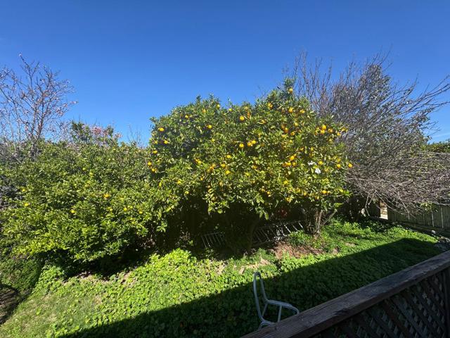 36569 Beutke Drive, Newark CA: https://media.crmls.org/mediaz/e3ac1bfb-4159-47e0-8b54-9e56699f15de.jpg