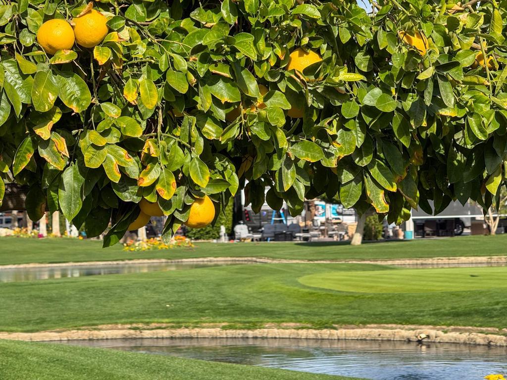 MLS #219138397DA image #20