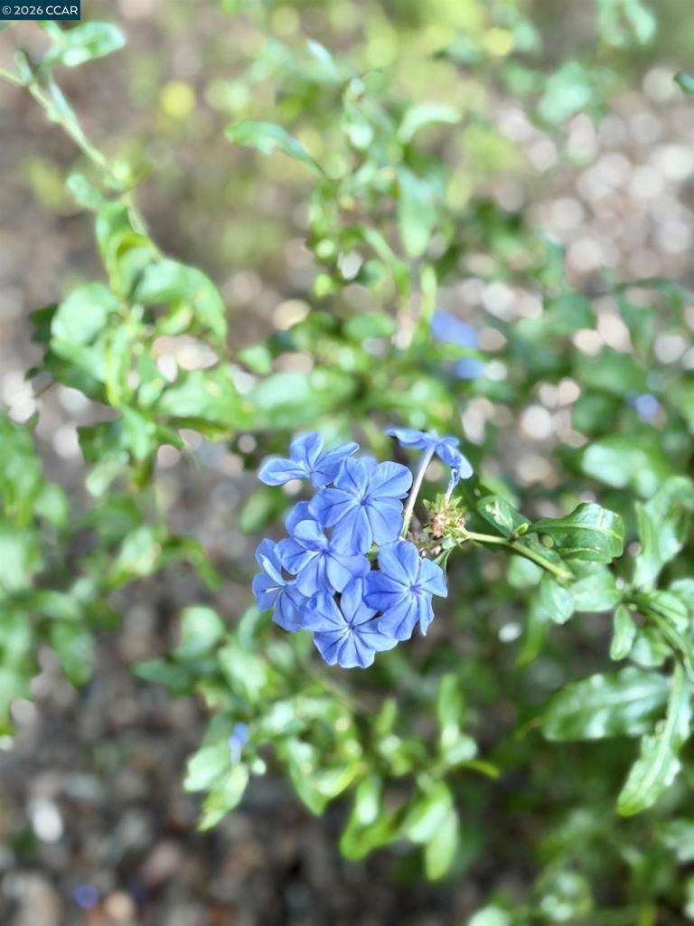 https://media.crmls.org/mediaz/e3af830d-e6f9-4eb4-8a6d-bb55dab1607b.jpg?preset=X-Large