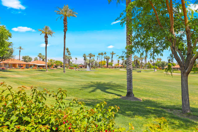 23 Haig Drive, Rancho Mirage CA: https://media.crmls.org/mediaz/e3c42b24-1d15-49bf-a961-4ff1e6083fe8.jpg