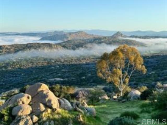 MLS #NDP2408961 image #9