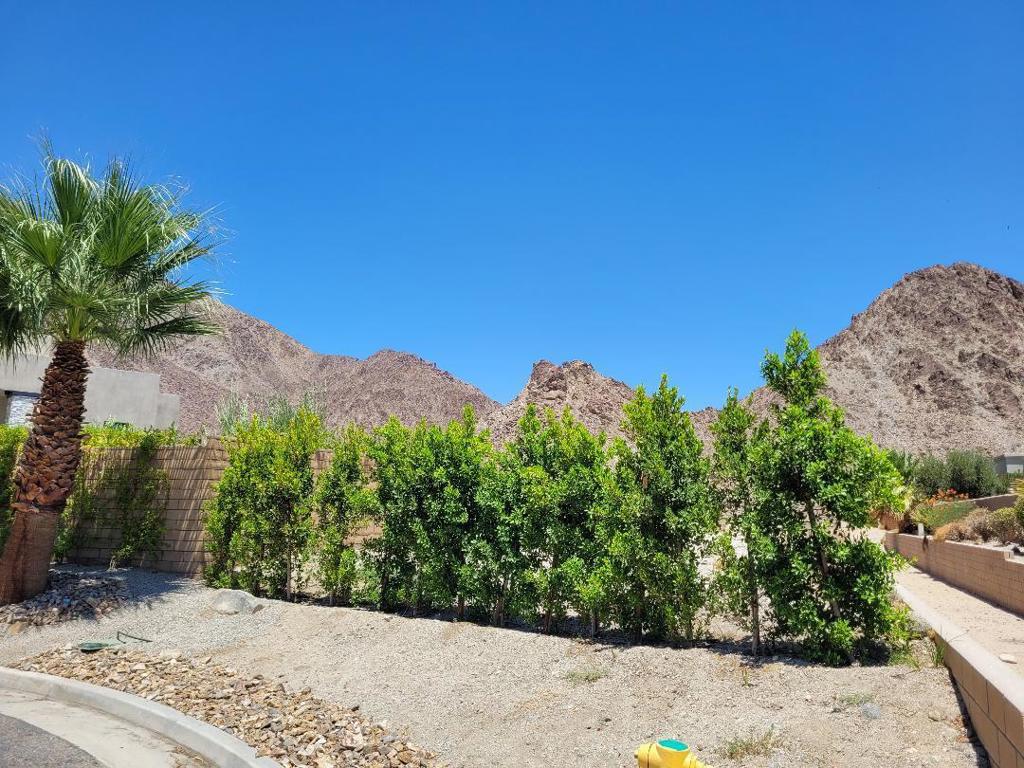 MLS #219132649DA image #1