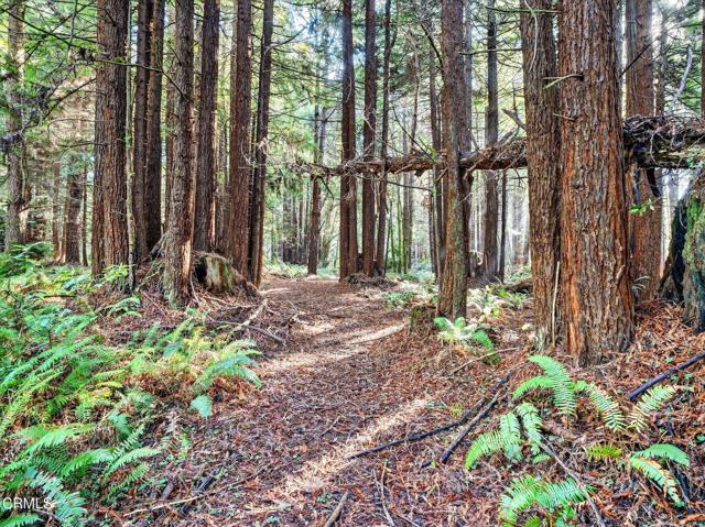 Detail Gallery Image 33 of 47 For 19400 Dorffi Rd, Fort Bragg,  CA 95437 - 3 Beds | 2/1 Baths