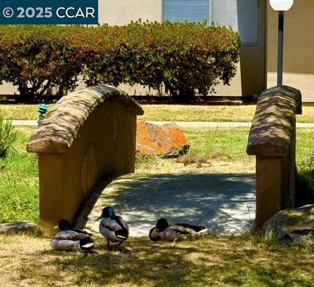 1305 Webster St, Alameda CA: https://media.crmls.org/mediaz/e3d769e0-a00f-4144-b698-625b3d601c8a.jpg