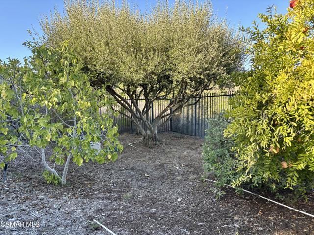 7111 Los Coyotes Place, Camarillo CA: https://media.crmls.org/mediaz/e3e62564-5b28-4571-8cf0-55256a162759.jpg