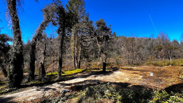 11035 Empire Grade, Santa Cruz CA: https://media.crmls.org/mediaz/e3f837e1-0b15-401b-a1aa-606cc28abfae.jpg