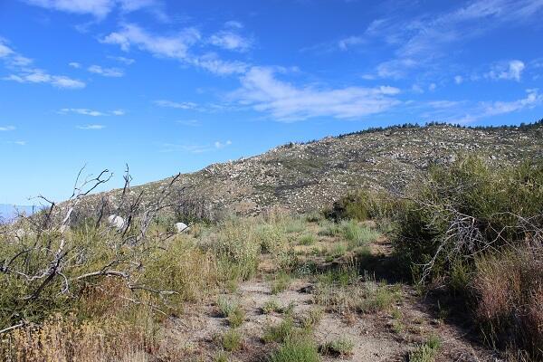 0 Mccall Park Road, Mountain Center, CA 92561