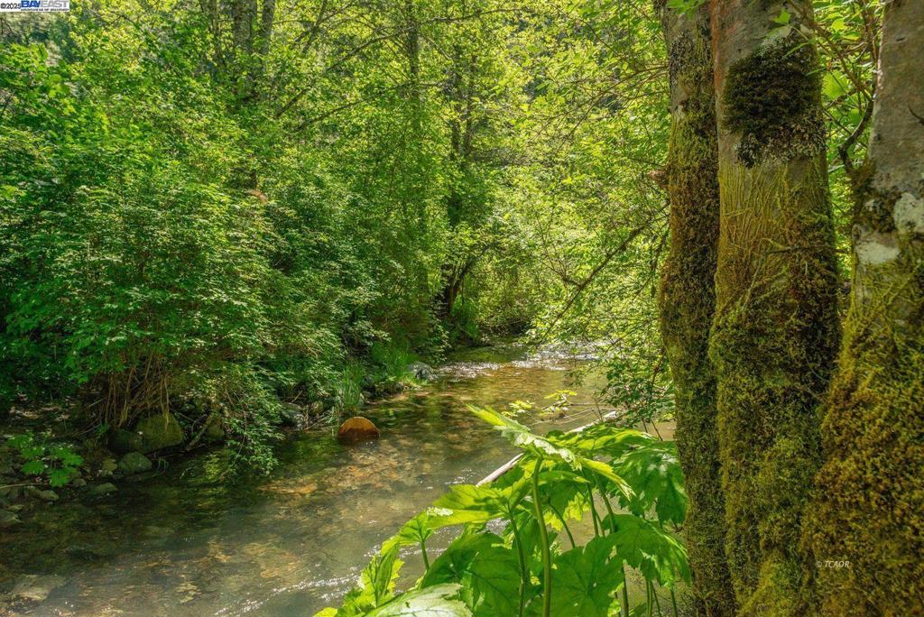 https://media.crmls.org/mediaz/e402004b-4524-4256-803f-1dfc66c3ef8f.jpg?preset=X-Large