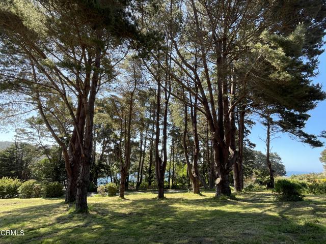45300 Headlands Drive, Mendocino CA: https://media.crmls.org/mediaz/e4024fd8-a562-4892-a5c2-284e6202f00e.jpg