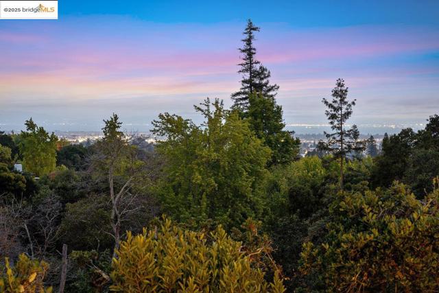 99 Lexford Rd, Piedmont CA: https://media.crmls.org/mediaz/e4108754-0832-43dd-ae20-1fbd7b97504c.jpg
