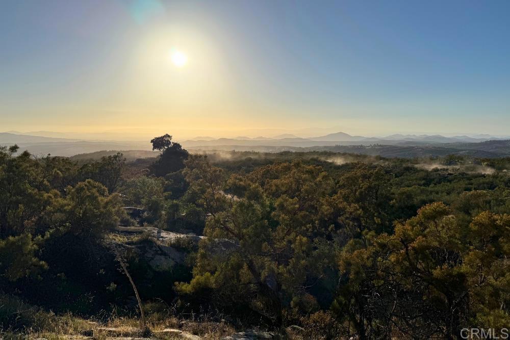 MLS #PTP2507282 image #27