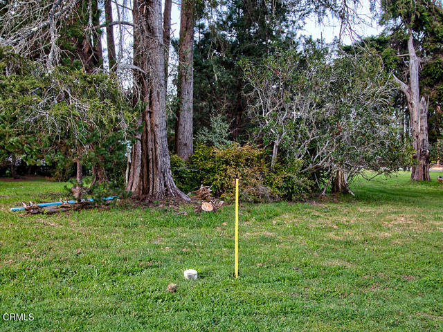 Detail Gallery Image 9 of 26 For 19100 Summers Ln, Fort Bragg,  CA 95437 - – Beds | – Baths