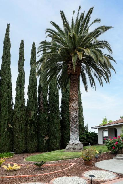 200 Westchester Drive, Los Gatos CA: https://media.crmls.org/mediaz/e41aa321-928b-4c32-a169-6d545ffa8f5f.jpg