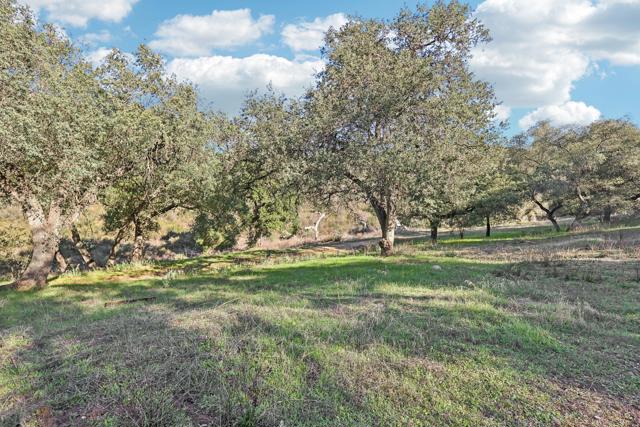 26086 Bear Valley Heights Road, Escondido CA: https://media.crmls.org/mediaz/e420880a-6eb2-42e6-a089-2fd3368b0e63.jpg