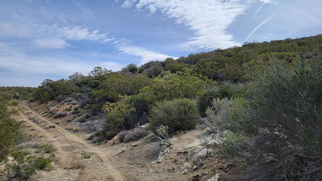 0 Palace Drive, Mountain Center CA: https://media.crmls.org/mediaz/e42249ff-58d4-464f-bcd7-aeb544667cba.jpg