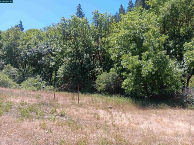 55855 Highway 101, Laytonville CA: https://media.crmls.org/mediaz/e4239683-b27a-41b6-84a1-2c5ff93431b3.jpg