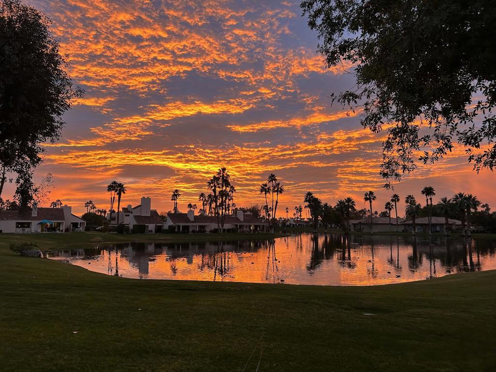 MLS #219138769DA image #4