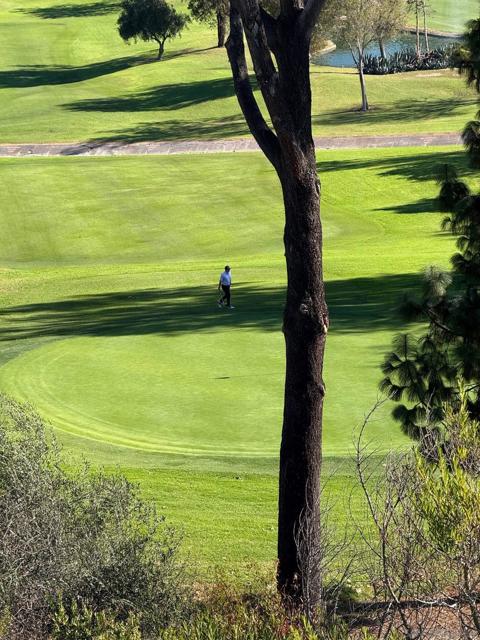 17489 Carnton Way, San Diego CA: https://media.crmls.org/mediaz/e4367816-d3de-40fc-97a0-a91eceab1886.jpg