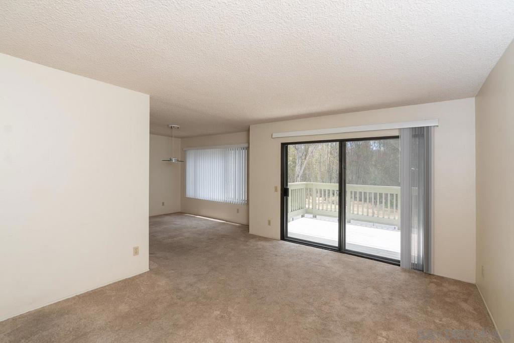 10247 Caminito Covewood - photo 7