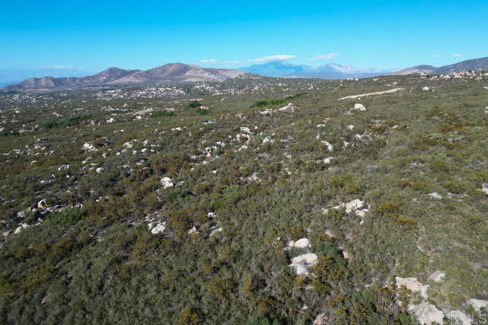 MLS #PTP2507282 image #43