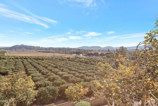 Detail Gallery Image 11 of 14 For 2713 Antonio Dr #312,  Camarillo,  CA 93010 - 1 Beds | 1 Baths