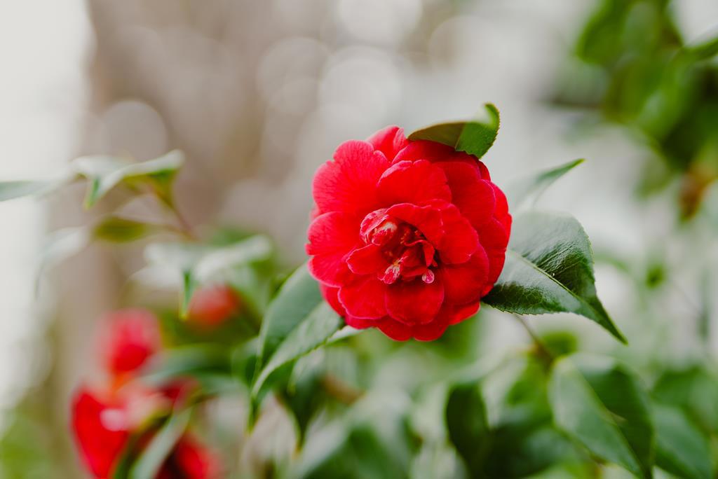 https://media.crmls.org/mediaz/e459e7ff-b343-482c-9693-ec7fab17d448.jpg?preset=X-Large
