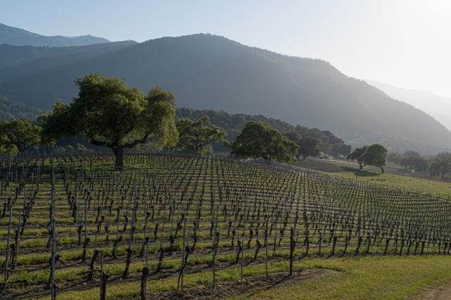 18190 Cachagua, Carmel Valley CA: https://media.crmls.org/mediaz/e45a800e-c1df-49dd-9d2f-42378eadc11d.jpg