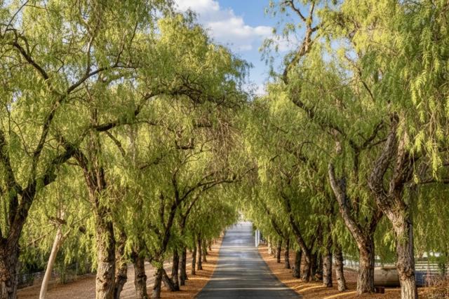 145 Yucca Road, Fallbrook CA: https://media.crmls.org/mediaz/e4602118-600e-407b-bd36-7ca7d8a7416f.jpg