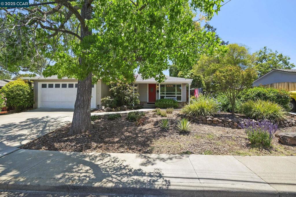 1415 Delaware Drive