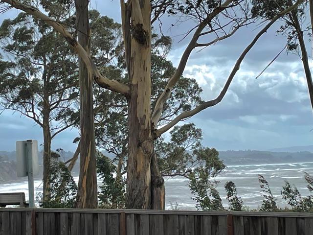 825 Balboa Avenue, Capitola CA: https://media.crmls.org/mediaz/e46702c4-3910-4500-9bd0-89ec5cecb367.jpg
