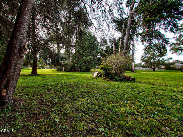 Detail Gallery Image 7 of 26 For 19100 Summers Ln, Fort Bragg,  CA 95437 - – Beds | – Baths