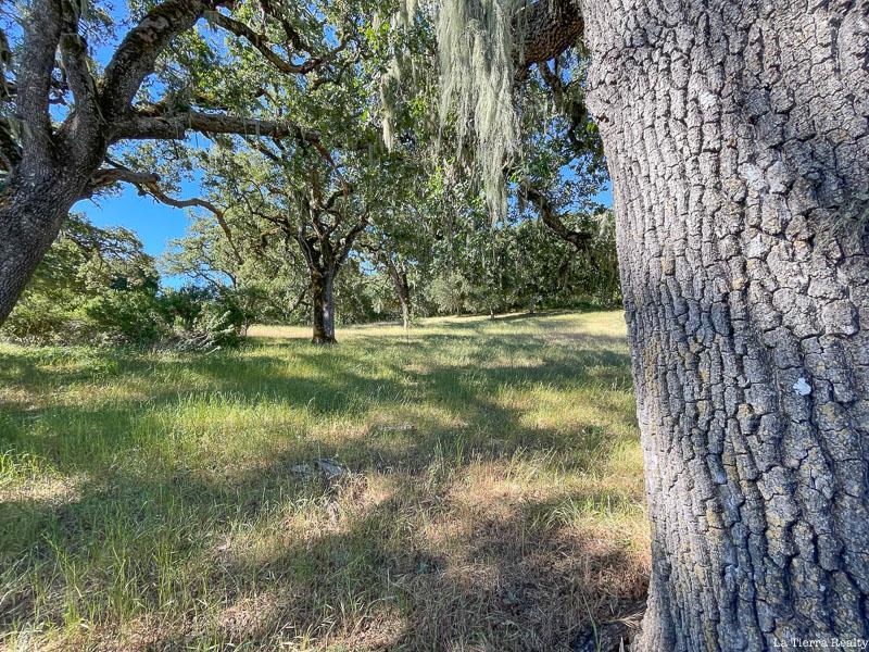 MLS #ML81896622 image #6