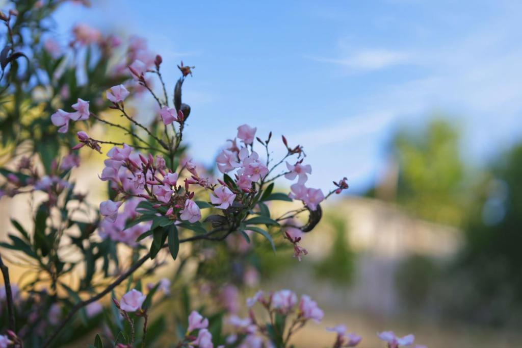 https://media.crmls.org/mediaz/e472338b-cb53-4dcb-a960-90103377e649.jpg?preset=X-Large