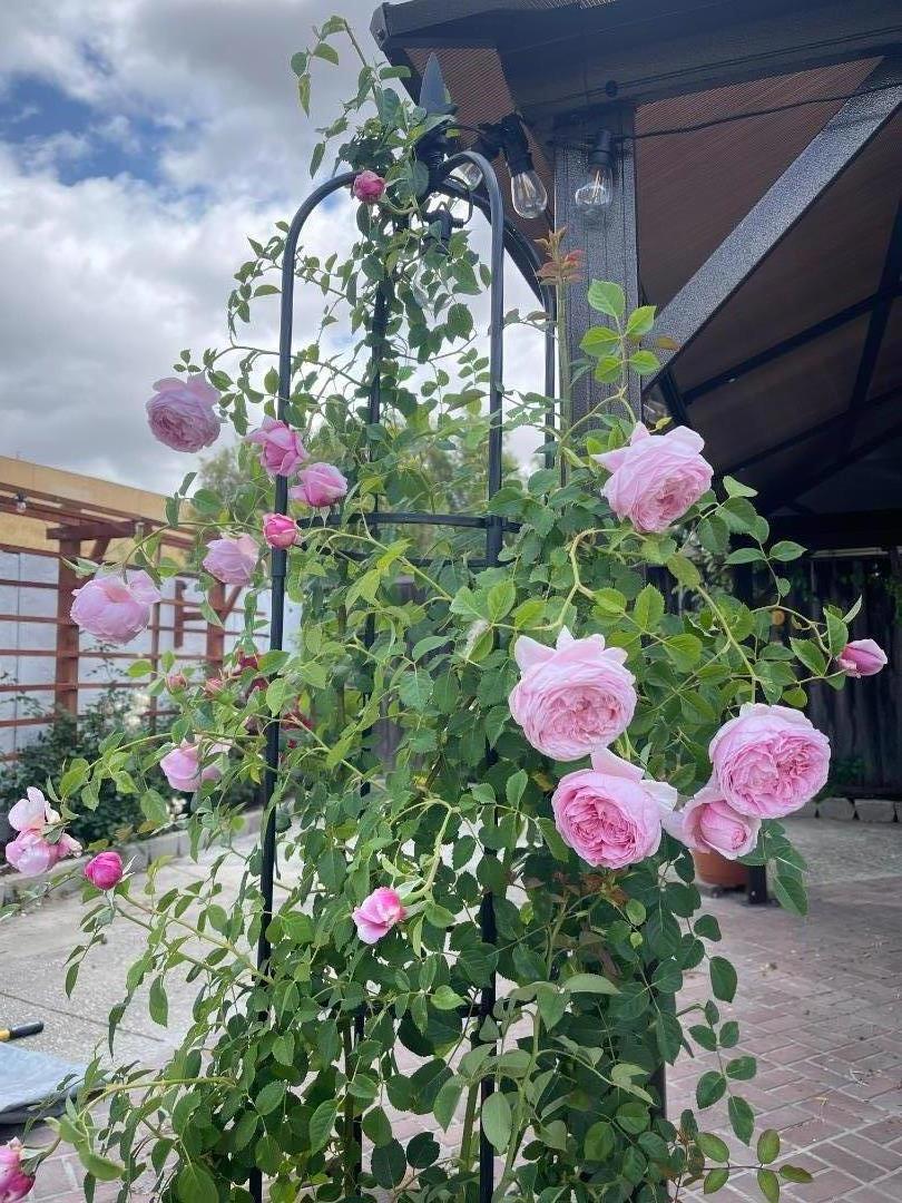 https://media.crmls.org/mediaz/e473e73f-39a0-4e86-adce-e67a544fb981.jpg?preset=X-Large
