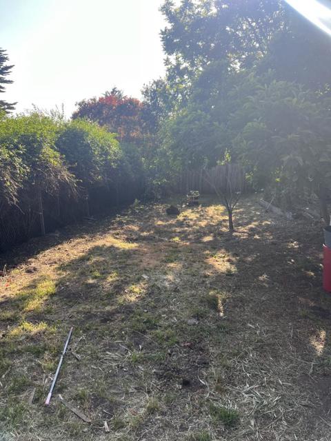 207 Grandview Street, Santa Cruz CA: https://media.crmls.org/mediaz/e475fb8b-a5e4-4ad6-967d-332cf89ebd46.jpg