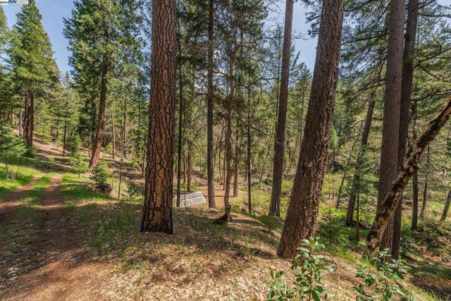 4298 Little Browns Creek Rd., Douglas City, California 96093, 4 Bedrooms Bedrooms, ,1 BathroomBathrooms,Single Family Residence,For Sale,Little Browns Creek Rd.,41057739