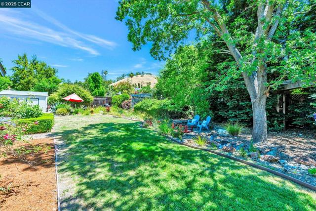 49 Terra Bella Dr, Walnut Creek CA: https://media.crmls.org/mediaz/e4875840-7e8f-4f59-9860-6a9caf95be4b.jpg