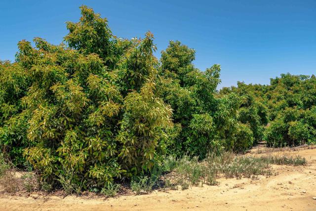 Detail Gallery Image 35 of 40 For 45000 Rancho Fallbrook Rd, Temecula,  CA 92590 - – Beds | – Baths