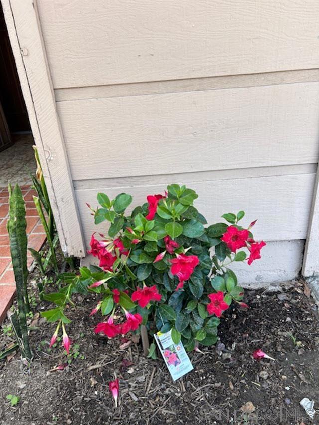 3154 Lloyd St, San Diego CA: https://media.crmls.org/mediaz/e48dee54-4cba-493e-8efc-304b0615b9cc.jpg