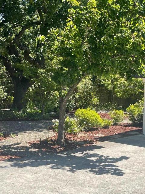 23951 Spalding Avenue, Los Altos CA: https://media.crmls.org/mediaz/e49687f1-0027-4678-928a-2d696791b343.jpg