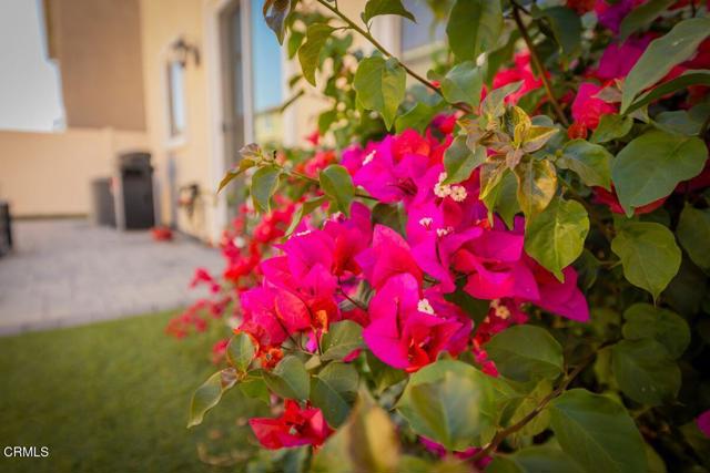 Detail Gallery Image 25 of 32 For 354 Autumn Path Ln, Santa Paula,  CA 93060 - 3 Beds | 2/1 Baths