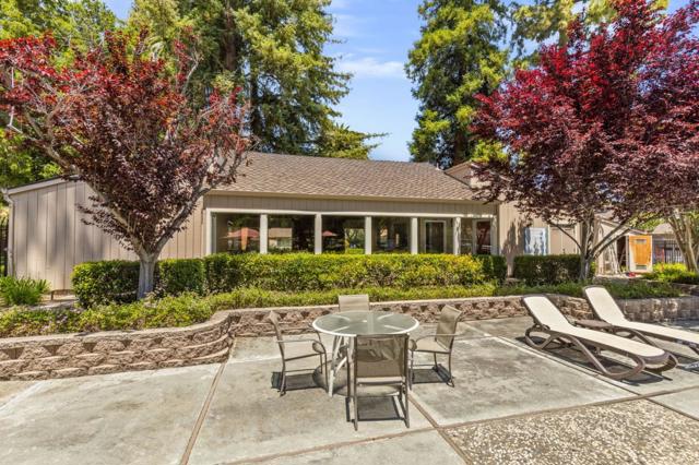 1544 Glenpine Drive, San Jose CA: https://media.crmls.org/mediaz/e49d2b90-351e-4882-a557-05dcf2c44177.jpg