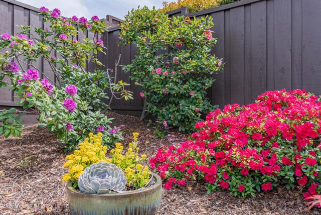 814 Beaverton Court, Sunnyvale CA: https://media.crmls.org/mediaz/e49ecf2f-910f-4f1a-95d2-c53f5ee9d8b8.jpg