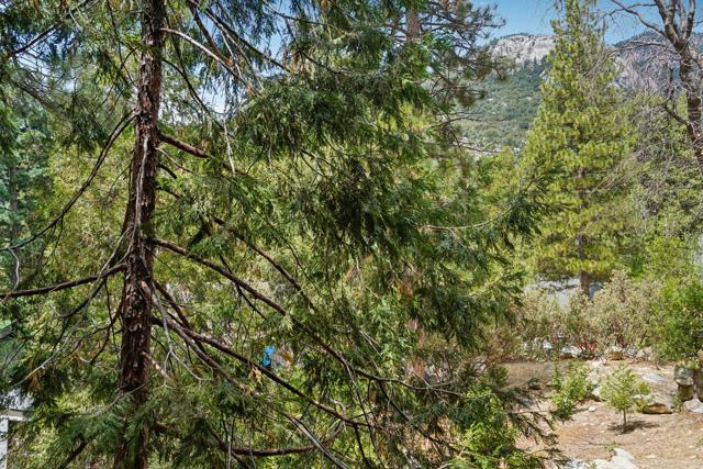 55491 Howland, Idyllwild CA: https://media.crmls.org/mediaz/e4ab5e68-d3cd-43df-ac8e-79a8676656fc.jpg