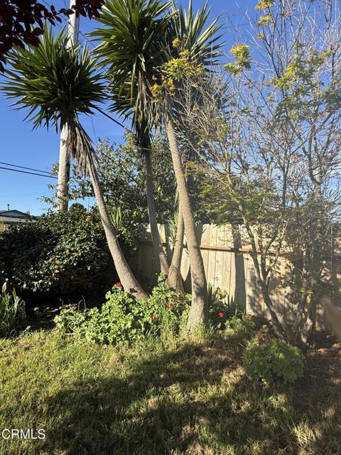 Detail Gallery Image 17 of 25 For 1361 E Oak St, Fort Bragg,  CA 95437 - 2 Beds | 2 Baths