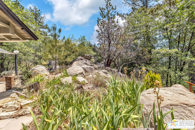 21395 Highway 243, Idyllwild CA: https://media.crmls.org/mediaz/e4b1bb16-7aa3-4a5c-81e5-cf9a2aad3137.jpg