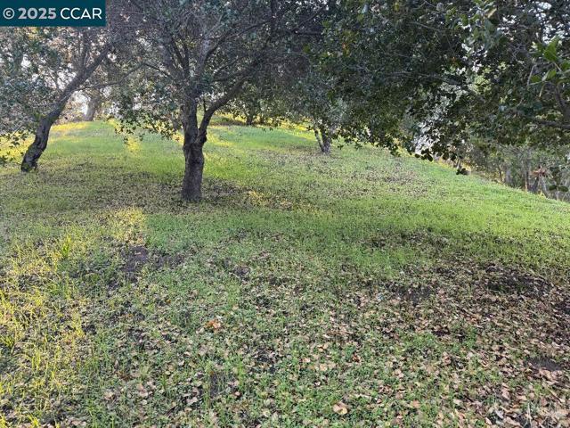 43 Cuesta way, Walnut Creek CA: https://media.crmls.org/mediaz/e4cc84aa-69ee-41e3-92de-08db8acee362.jpg