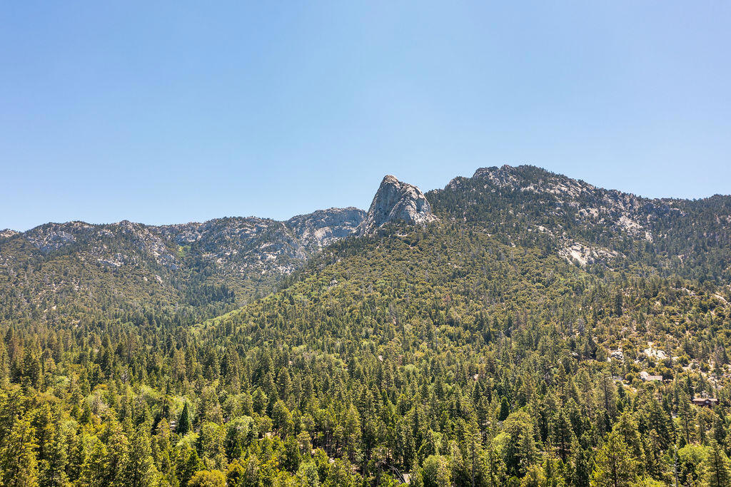 https://media.crmls.org/mediaz/e4d61427-f433-4e30-8d0d-04271bae5058.jpg?preset=X-Large