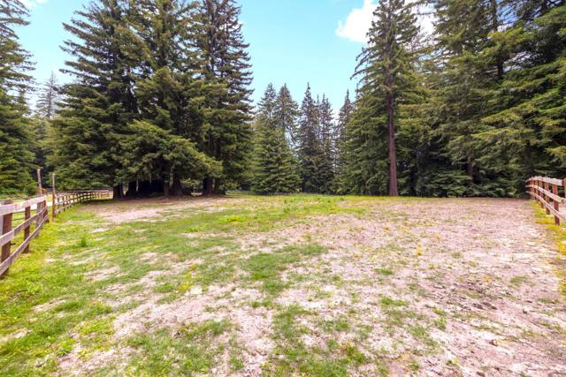3675 Bonny Doon Road, Santa Cruz CA: https://media.crmls.org/mediaz/e4d71be9-d960-4c3f-9e4e-55cf336c3175.jpg